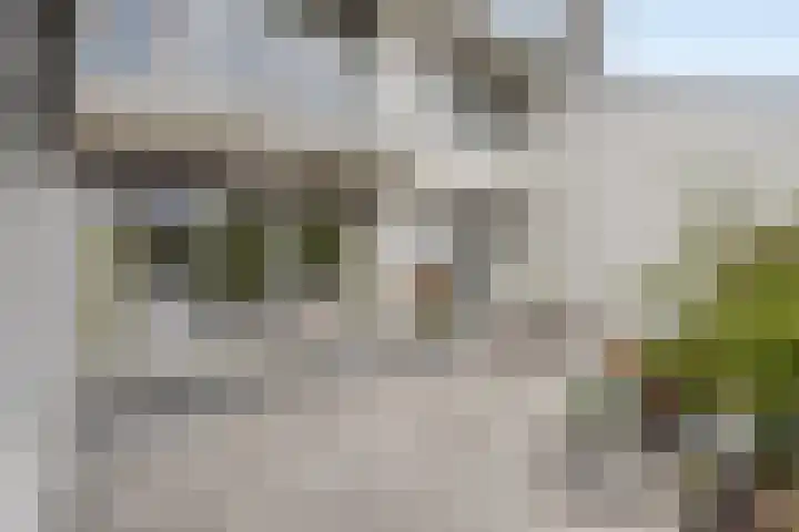 Dauphinélaan 23 Maastricht thumbnail 30