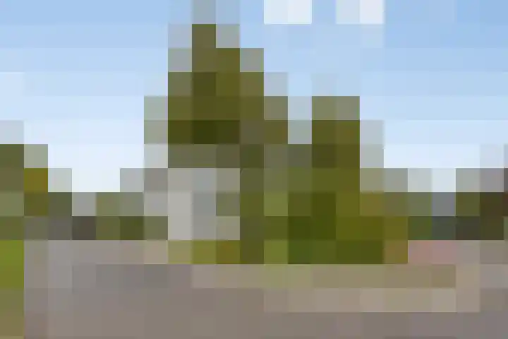 Dauphinélaan 23 Maastricht thumbnail 31