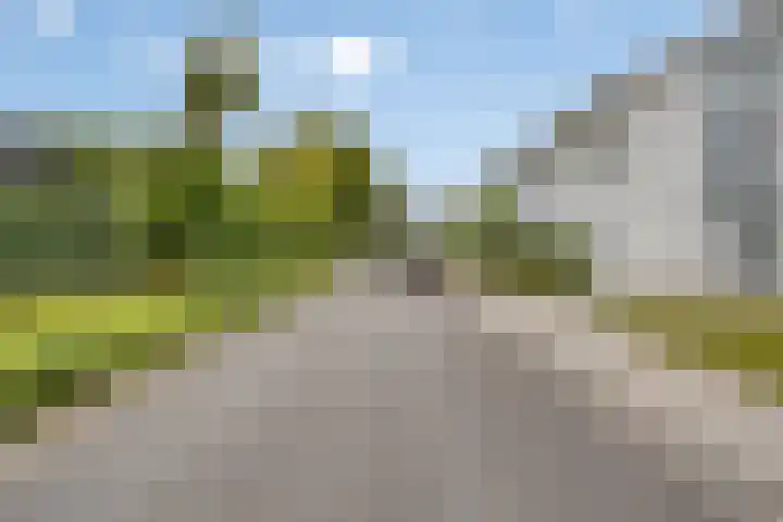 Dauphinélaan 23 Maastricht thumbnail 33