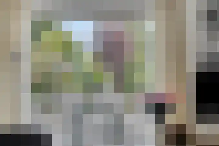 Dauphinélaan 23 Maastricht thumbnail 5