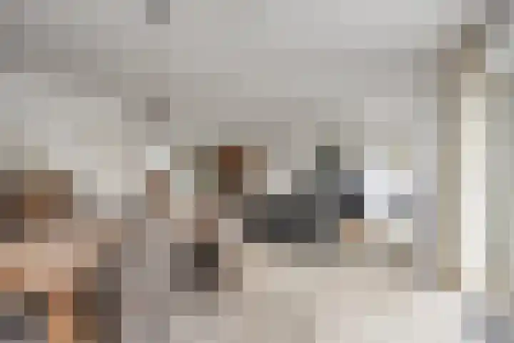 Dauphinélaan 23 Maastricht thumbnail 6