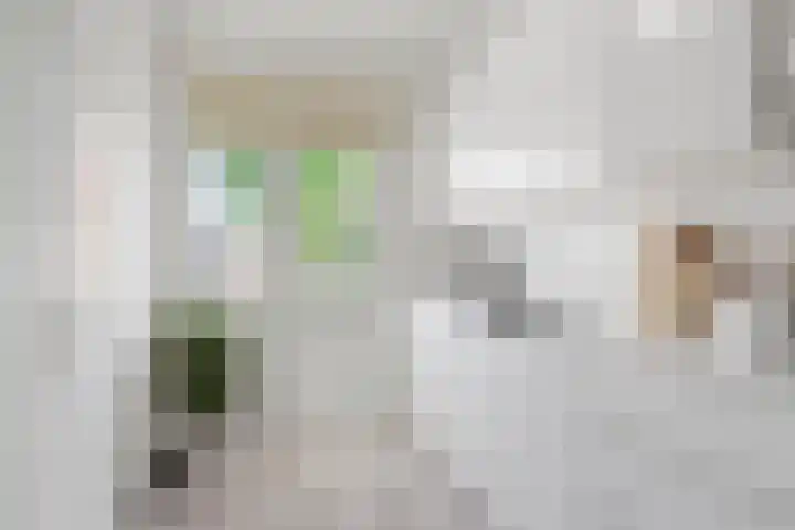 Dauphinélaan 30 Eindhoven thumbnail 13