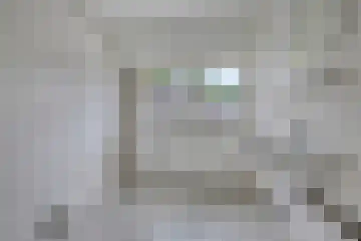 Dauphinélaan 30 Eindhoven thumbnail 19