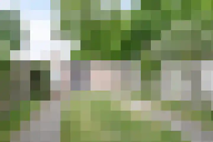 Dauphinélaan 30 Eindhoven thumbnail 25