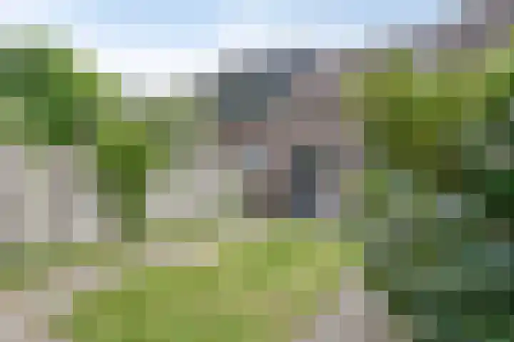 Dauphinélaan 30 Eindhoven thumbnail 28