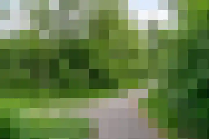 Dauphinélaan 30 Eindhoven thumbnail 29