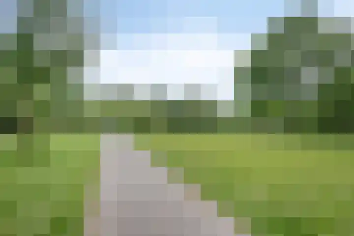 Dauphinélaan 30 Eindhoven thumbnail 30