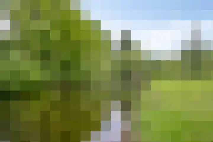 Dauphinélaan 30 Eindhoven thumbnail 32