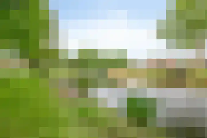 Dauphinélaan 30 Eindhoven thumbnail 33