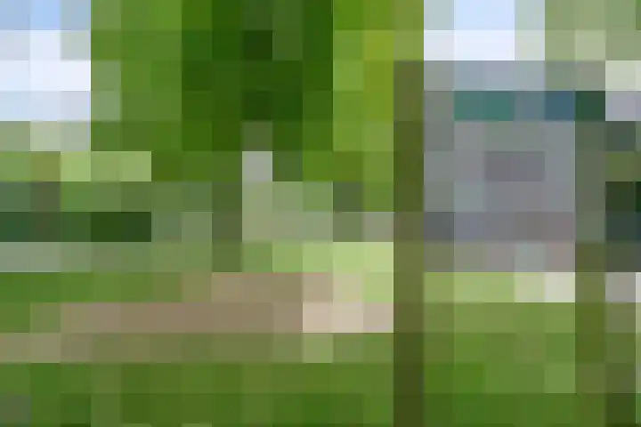 Dauphinélaan 30 Eindhoven thumbnail 34