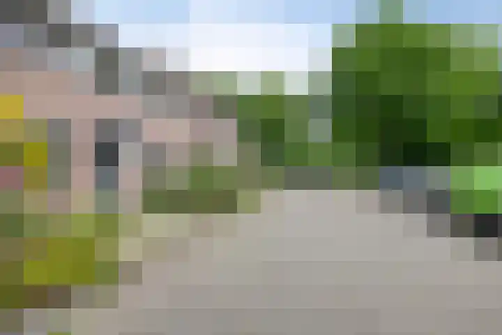 Dauphinélaan 30 Eindhoven thumbnail 39