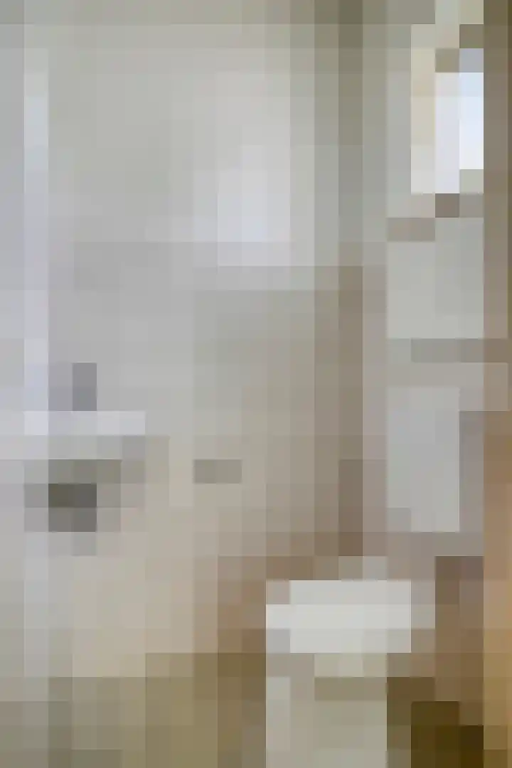 Dauphinélaan 30 Eindhoven thumbnail 5