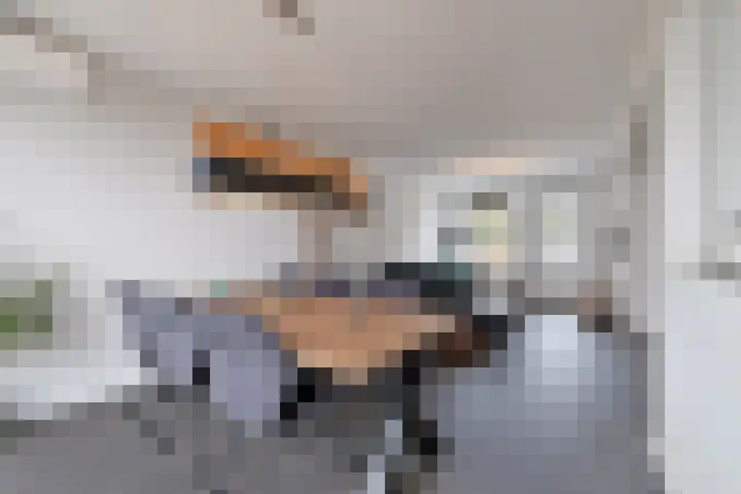 Dauphinélaan 48 Eindhoven thumbnail 11