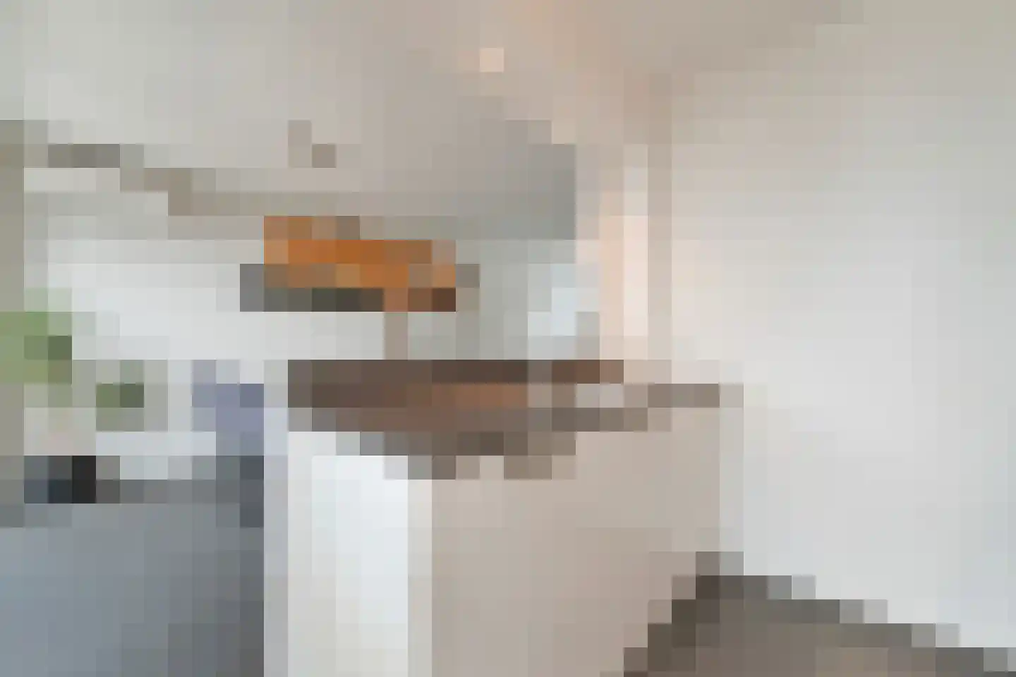 Dauphinélaan 48 Eindhoven thumbnail 14