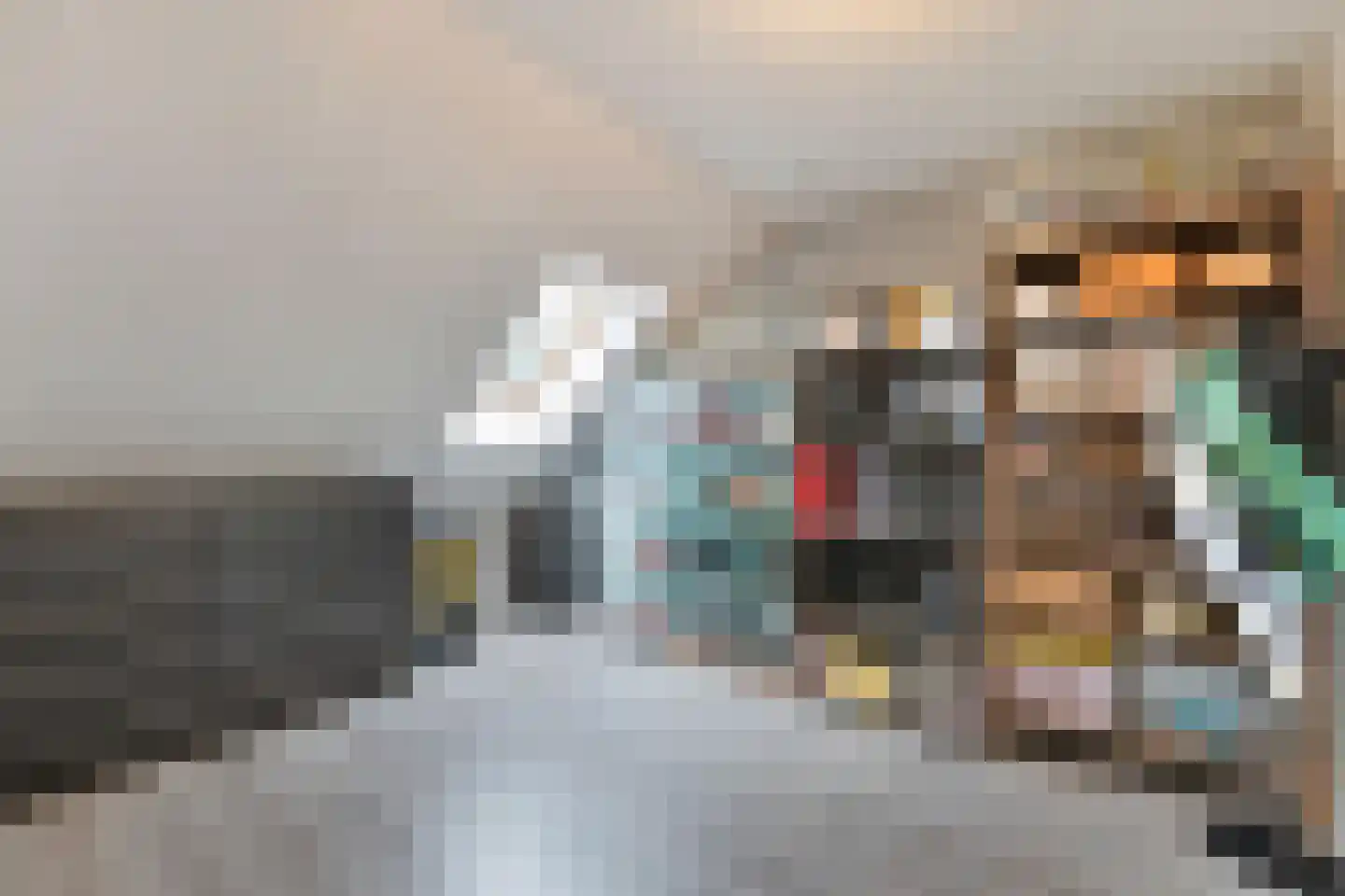 Dauphinélaan 48 Eindhoven thumbnail 19