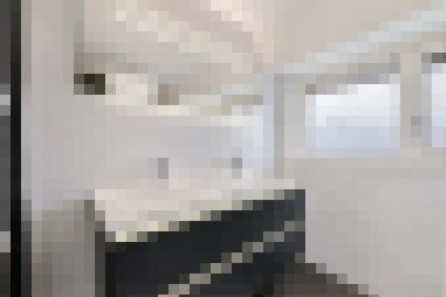 Dauphinélaan 48 Eindhoven thumbnail 21