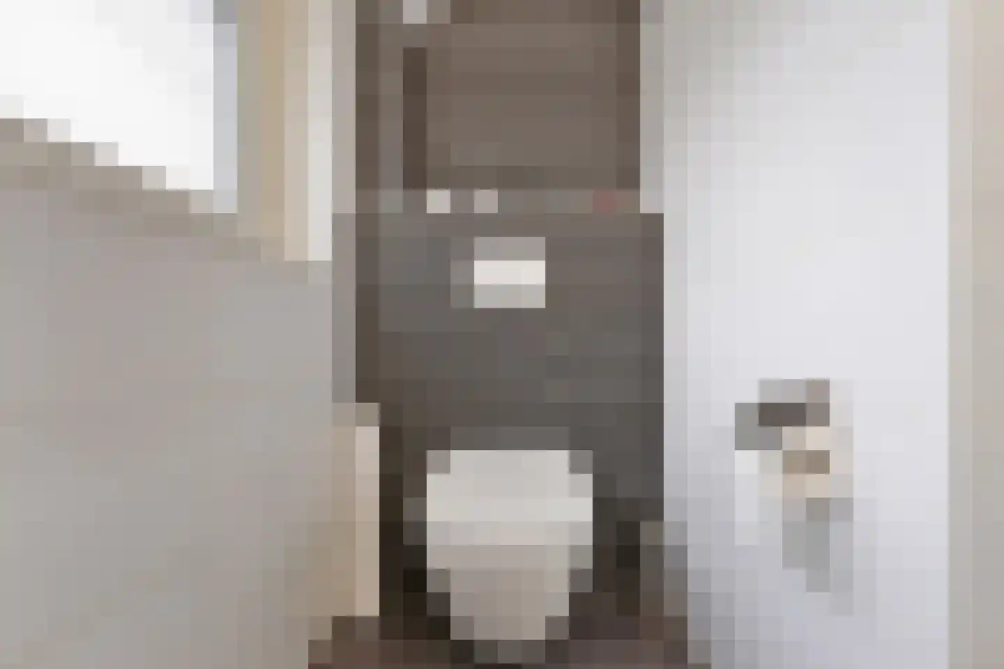 Dauphinélaan 48 Eindhoven thumbnail 22