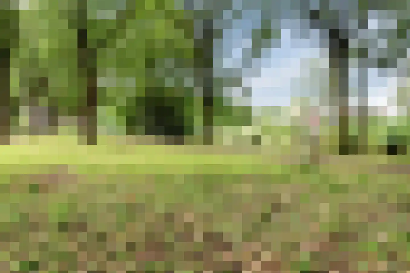 Dauphinélaan 48 Eindhoven thumbnail 39