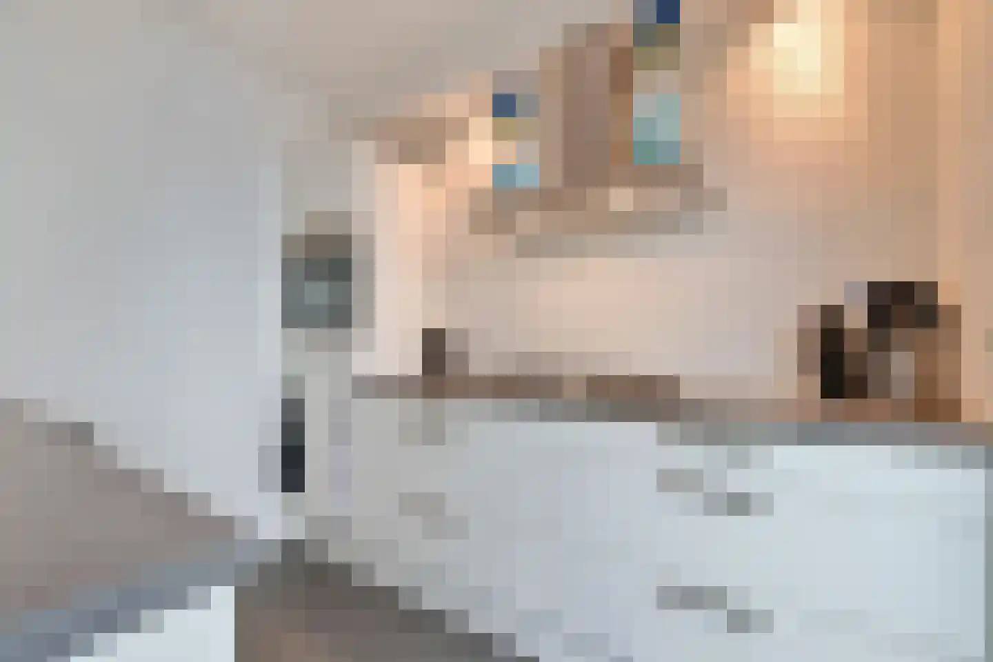 Dauphinélaan 48 Eindhoven thumbnail 4