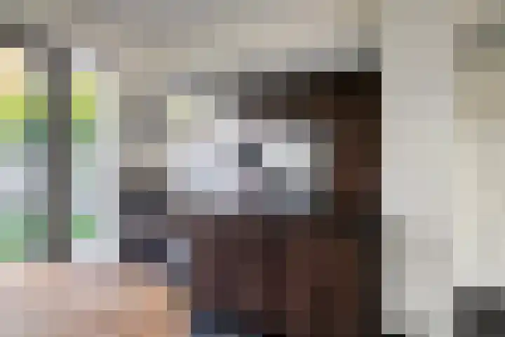 Dauphinélaan 58 Eindhoven thumbnail 12