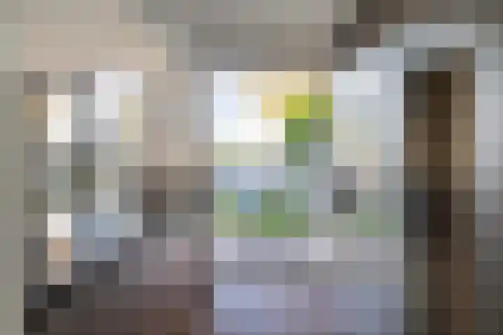 Dauphinélaan 58 Eindhoven thumbnail 13
