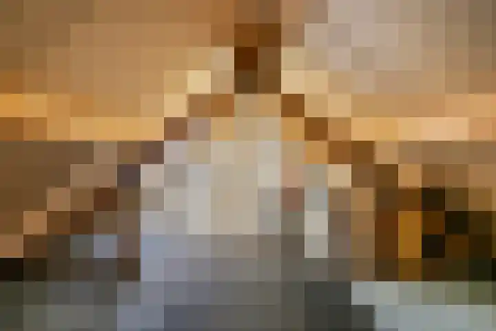 Dauphinélaan 58 Eindhoven thumbnail 25