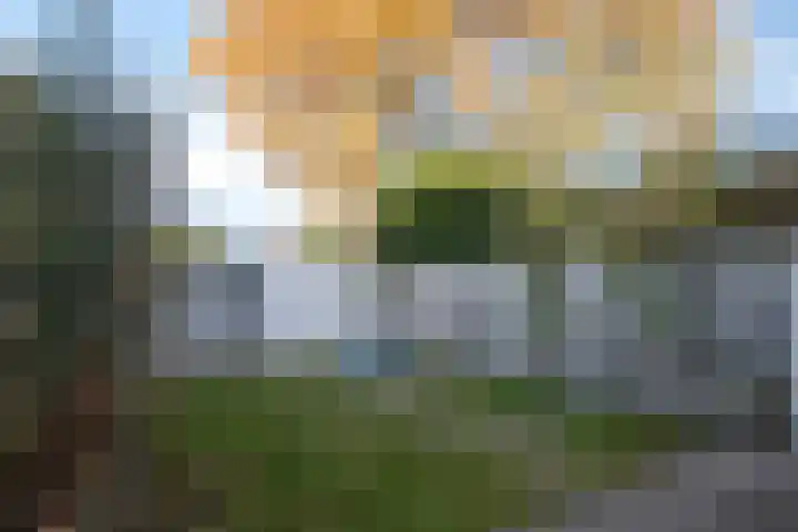 Dauphinélaan 58 Eindhoven thumbnail 26