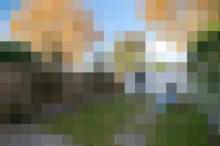 Dauphinélaan 58 Eindhoven thumbnail 27
