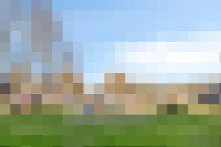 Dauphinélaan 58 Eindhoven thumbnail 31