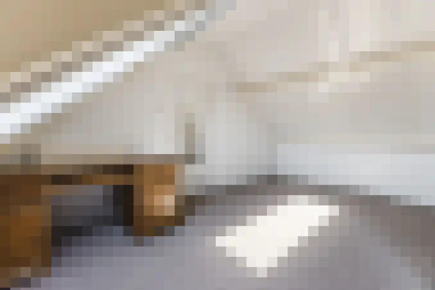 Dauphinélaan 70 Eindhoven thumbnail 33