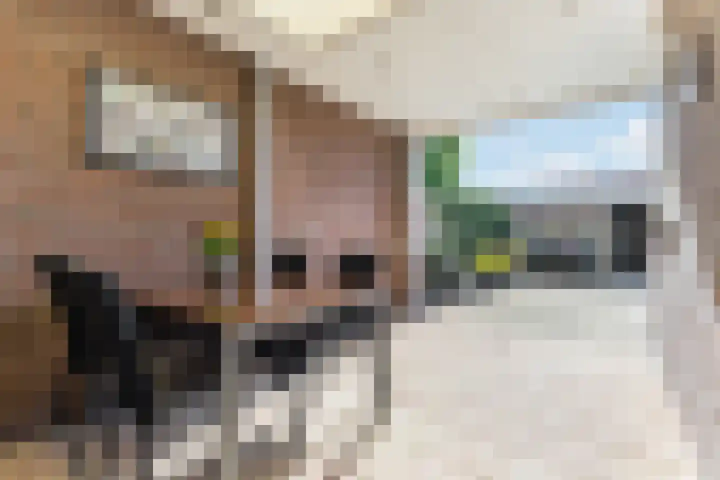 Dauphinélaan 70 Eindhoven thumbnail 37