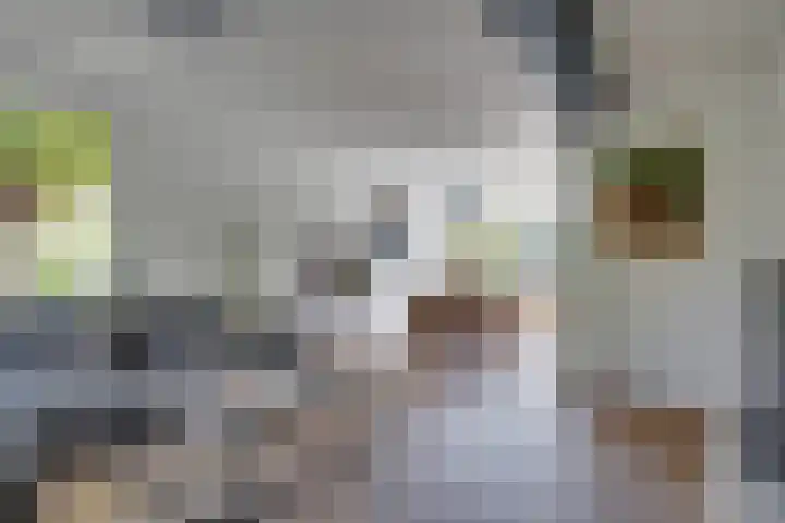 Dauphinélaan 84 Eindhoven thumbnail 12