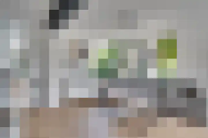 Dauphinélaan 84 Eindhoven thumbnail 13