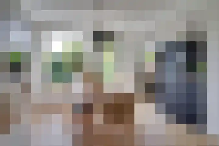 Dauphinélaan 84 Eindhoven thumbnail 14