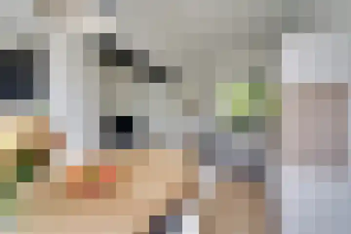 Dauphinélaan 84 Eindhoven thumbnail 15