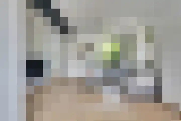 Dauphinélaan 84 Eindhoven thumbnail 17