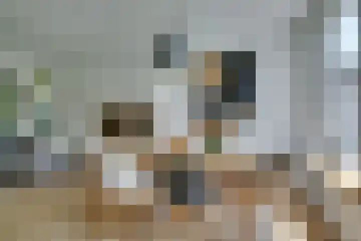 Dauphinélaan 84 Eindhoven thumbnail 20