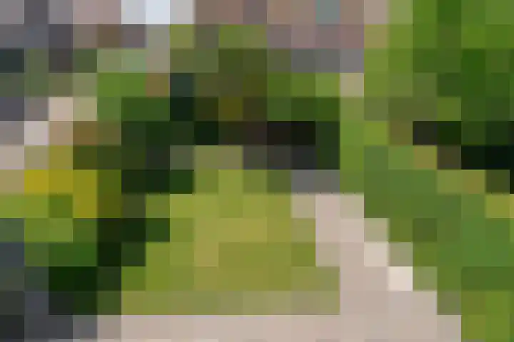Dauphinélaan 84 Eindhoven thumbnail 24