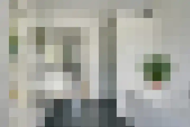 Dauphinélaan 84 Eindhoven thumbnail 31