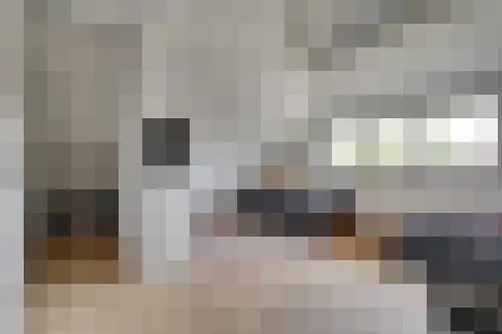 Dauphinélaan 84 Eindhoven thumbnail 36