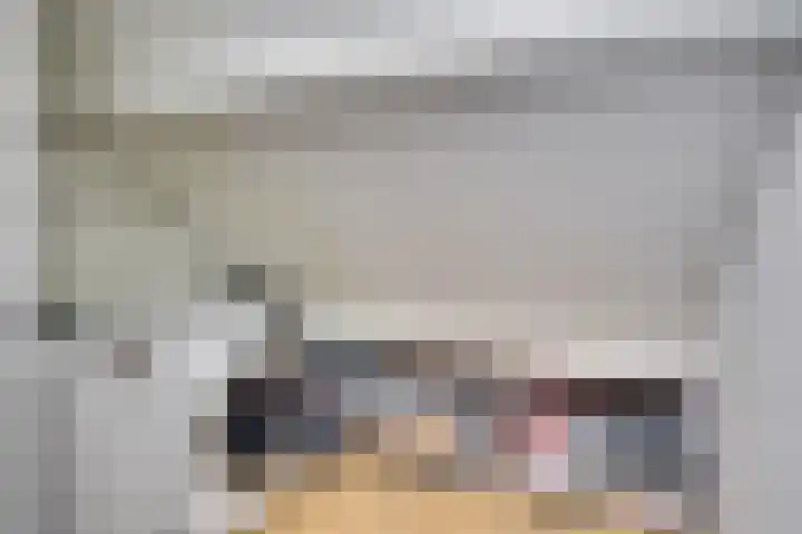 Dauphinélaan 84 Eindhoven thumbnail 37