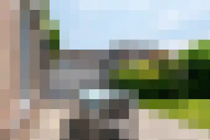 Dauphinélaan 84 Eindhoven thumbnail 41