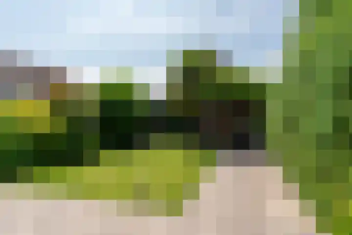 Dauphinélaan 84 Eindhoven thumbnail 42