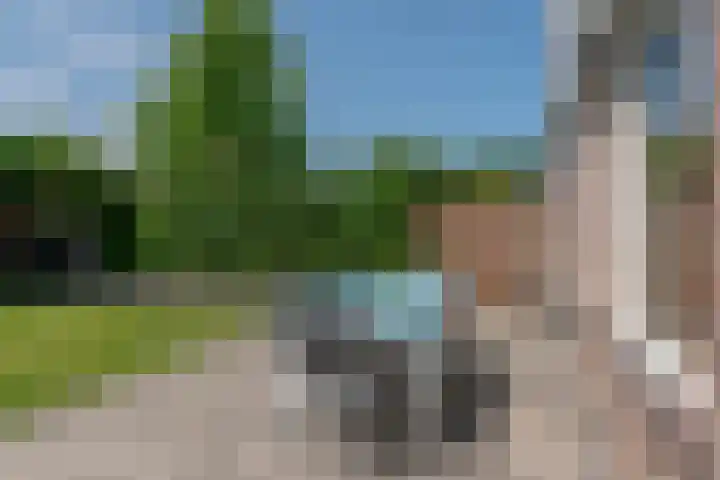 Dauphinélaan 84 Eindhoven thumbnail 43