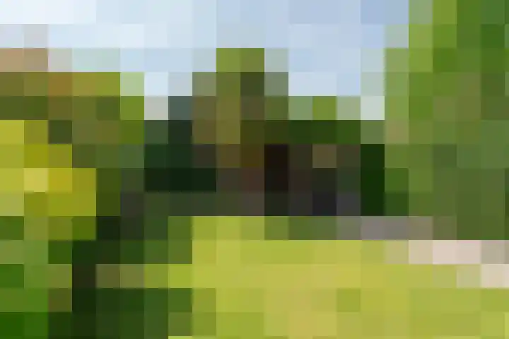 Dauphinélaan 84 Eindhoven thumbnail 44