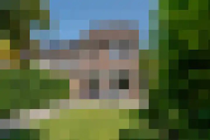 Dauphinélaan 84 Eindhoven thumbnail 46