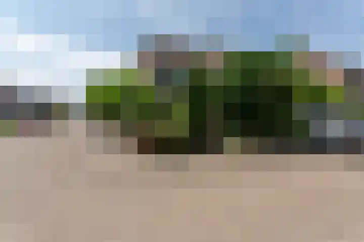 Dauphinélaan 84 Eindhoven thumbnail 6