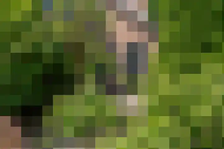 Dauphinélaan 84 Eindhoven thumbnail 7