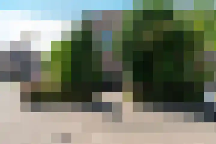 Dauphinélaan 84 Eindhoven thumbnail 8