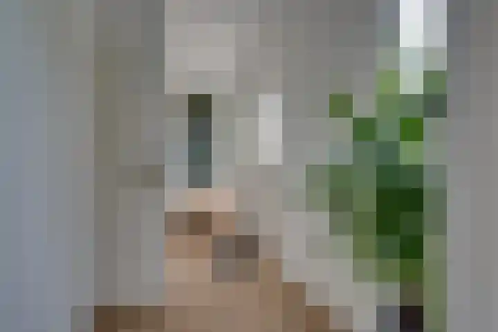 Dauphinélaan 84 Eindhoven thumbnail 9